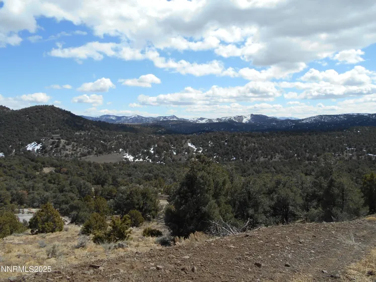 2050 Scorpion, Reno, Nevada 89521, ,Land,Residential,Scorpion,250056607