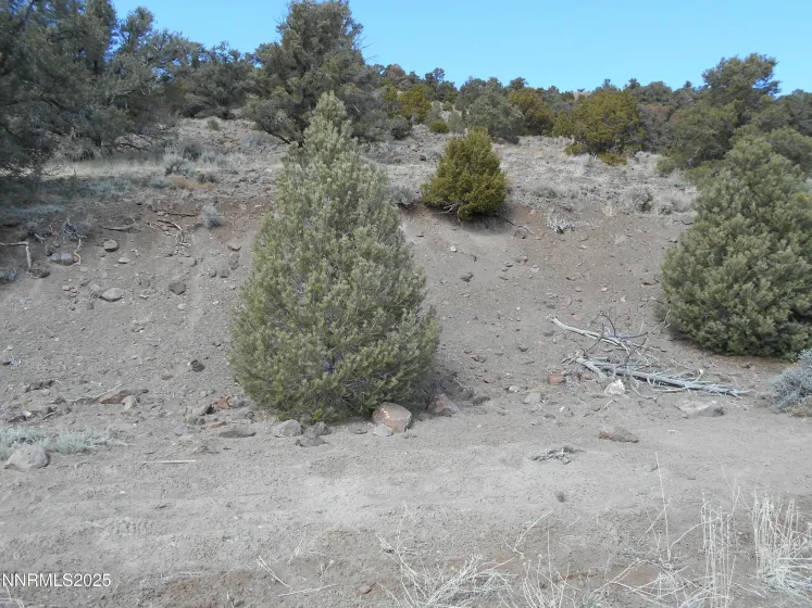 2050 Scorpion, Reno, Nevada 89521, ,Land,Residential,Scorpion,250056607