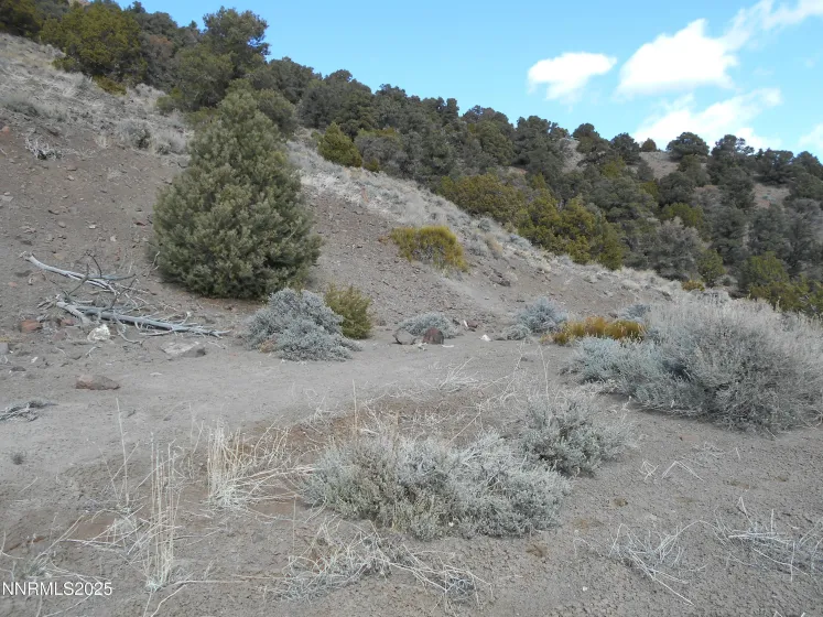 2050 Scorpion, Reno, Nevada 89521, ,Land,Residential,Scorpion,250056607