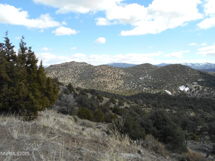 2050 Scorpion, Reno, Nevada 89521, ,Land,Residential,Scorpion,250056607