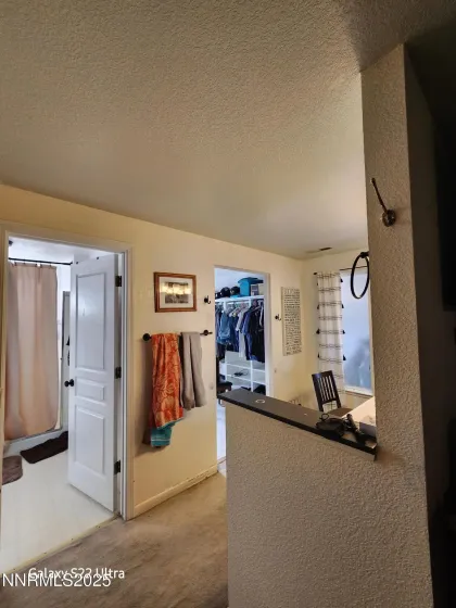 334 Monte Cristo, Dayton, Nevada 89403, 3 Bedrooms Bedrooms, ,2 BathroomsBathrooms,Residential,Residential,Monte Cristo,250058916