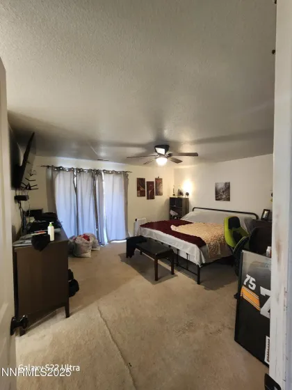 334 Monte Cristo, Dayton, Nevada 89403, 3 Bedrooms Bedrooms, ,2 BathroomsBathrooms,Residential,Residential,Monte Cristo,250058916