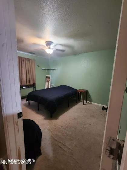 334 Monte Cristo, Dayton, Nevada 89403, 3 Bedrooms Bedrooms, ,2 BathroomsBathrooms,Residential,Residential,Monte Cristo,250058916