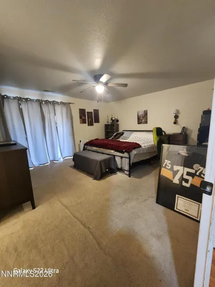 334 Monte Cristo, Dayton, Nevada 89403, 3 Bedrooms Bedrooms, ,2 BathroomsBathrooms,Residential,Residential,Monte Cristo,250058916