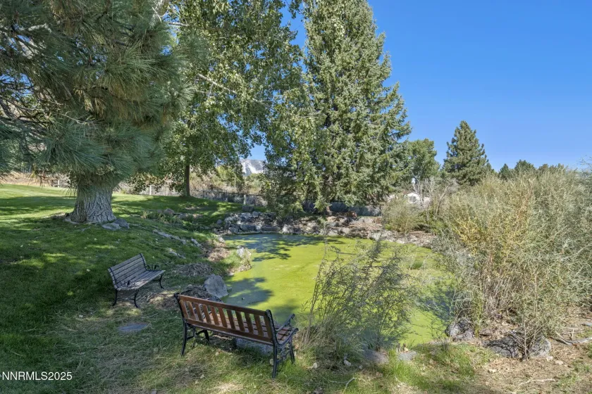 50 Lonesome Polecat, Washoe Valley, Nevada 89704, 3 Bedrooms Bedrooms, ,3 BathroomsBathrooms,Residential,Residential,Lonesome Polecat,250058940