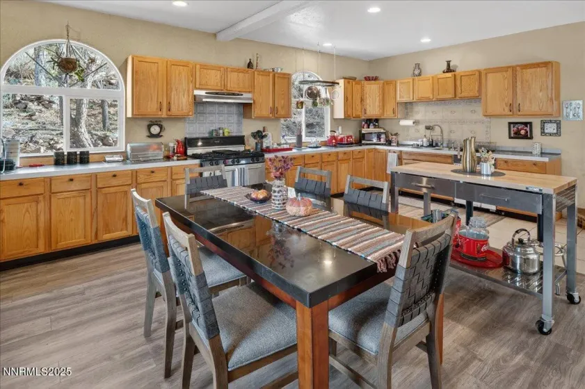 15290 Fawn, Reno, Nevada 89511, 3 Bedrooms Bedrooms, ,2 BathroomsBathrooms,Residential,Residential,Fawn,250058953