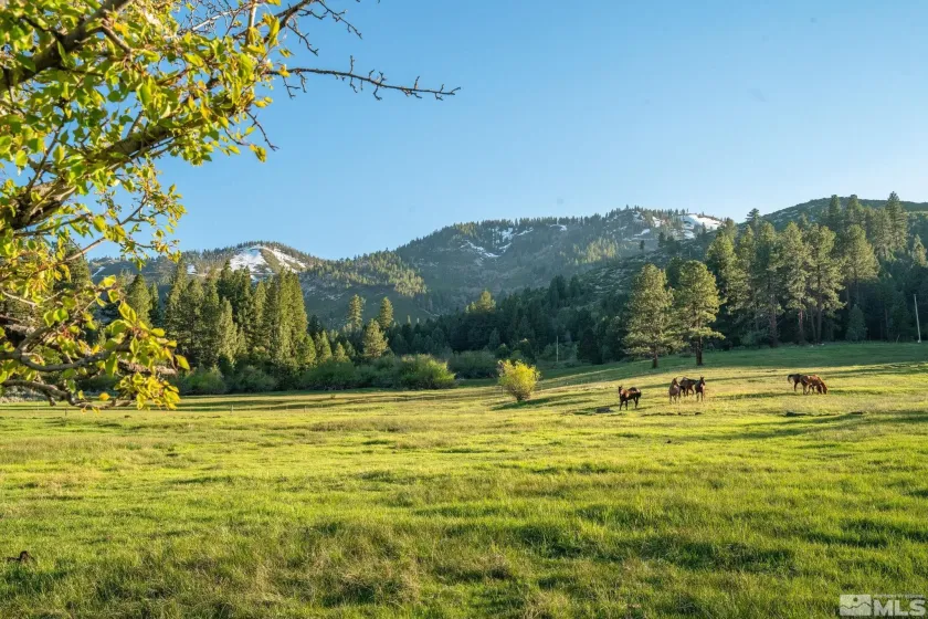 6995 Franktown, Washoe Valley, Nevada 89704, 6 Bedrooms Bedrooms, ,5 BathroomsBathrooms,Residential,Residential,Franktown,250006413