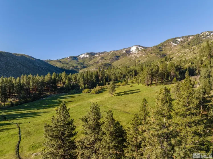 6995 Franktown, Washoe Valley, Nevada 89704, 6 Bedrooms Bedrooms, ,5 BathroomsBathrooms,Residential,Residential,Franktown,250006413