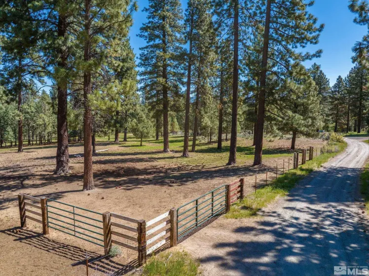 6995 Franktown, Washoe Valley, Nevada 89704, 6 Bedrooms Bedrooms, ,5 BathroomsBathrooms,Residential,Residential,Franktown,250006413