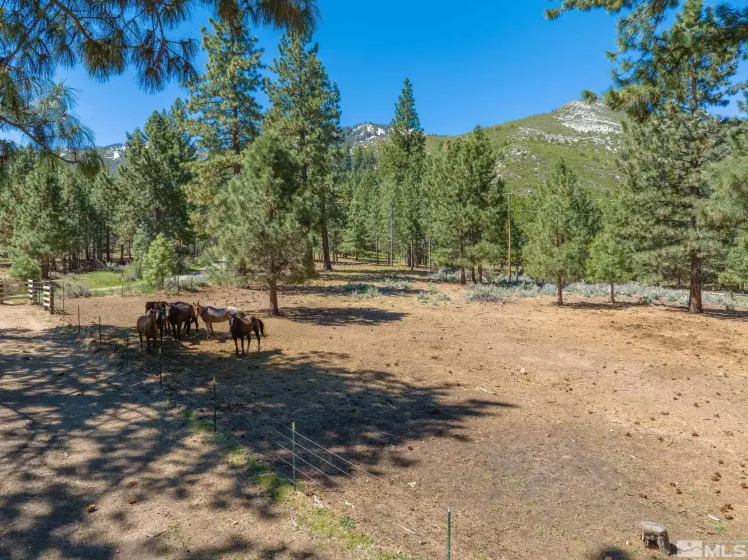 6995 Franktown, Washoe Valley, Nevada 89704, 6 Bedrooms Bedrooms, ,5 BathroomsBathrooms,Residential,Residential,Franktown,250006413