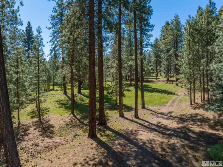 6995 Franktown, Washoe Valley, Nevada 89704, 6 Bedrooms Bedrooms, ,5 BathroomsBathrooms,Residential,Residential,Franktown,250006413