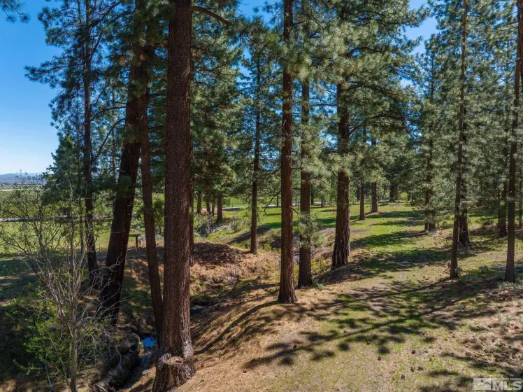 6995 Franktown, Washoe Valley, Nevada 89704, 6 Bedrooms Bedrooms, ,5 BathroomsBathrooms,Residential,Residential,Franktown,250006413