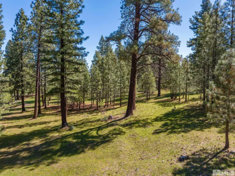 6995 Franktown, Washoe Valley, Nevada 89704, 6 Bedrooms Bedrooms, ,5 BathroomsBathrooms,Residential,Residential,Franktown,250006413