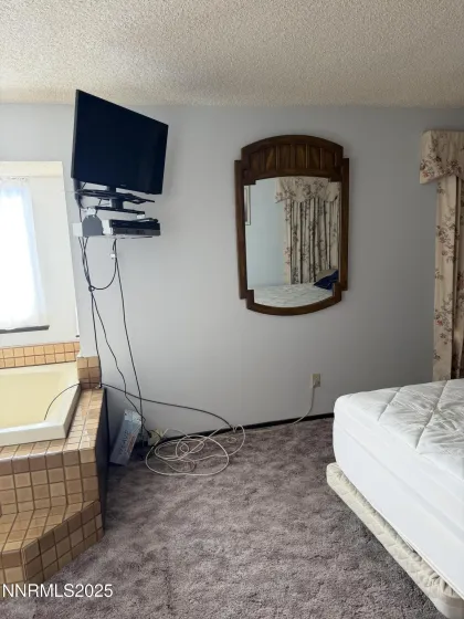 2309 Dalea, Tonopah, Nevada 89049, 3 Bedrooms Bedrooms, ,2 BathroomsBathrooms,Residential,Residential,Dalea,250058983