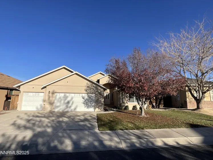 768 Divot, Fernley, Nevada 89408, 3 Bedrooms Bedrooms, ,2 BathroomsBathrooms,Residential,Residential,Divot,250059023