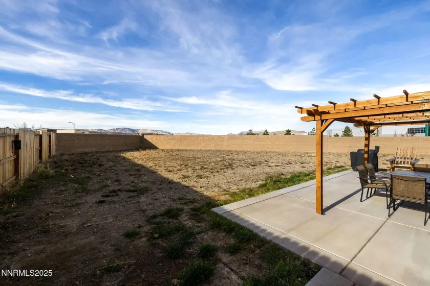 Blank canvas for Backyard