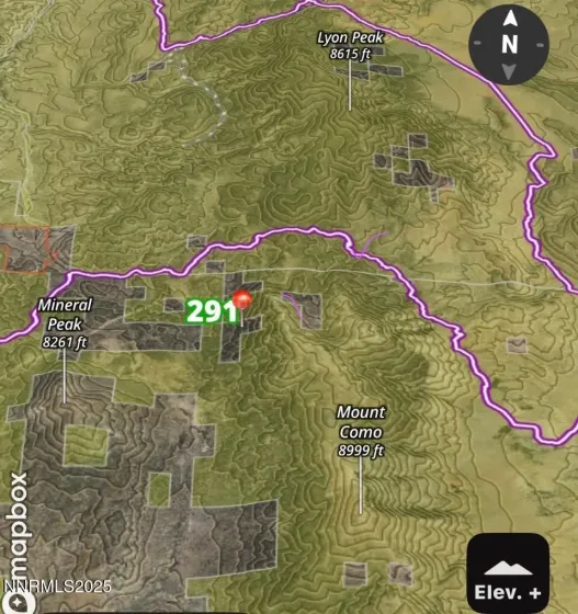 0 Pine Nut Mtn Range Lot #7, Minden, Nevada 89423, ,Land,Residential,Pine Nut Mtn Range Lot #7,250059111
