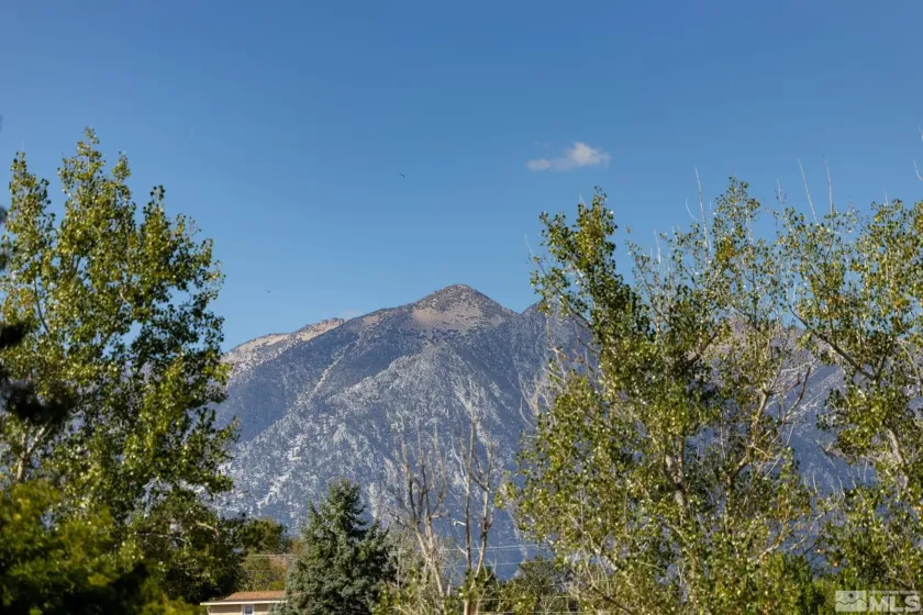 1580 Fifth Green, Gardnerville, Nevada 89460, 4 Bedrooms Bedrooms, ,4 BathroomsBathrooms,Residential,Residential,Fifth Green,250059143