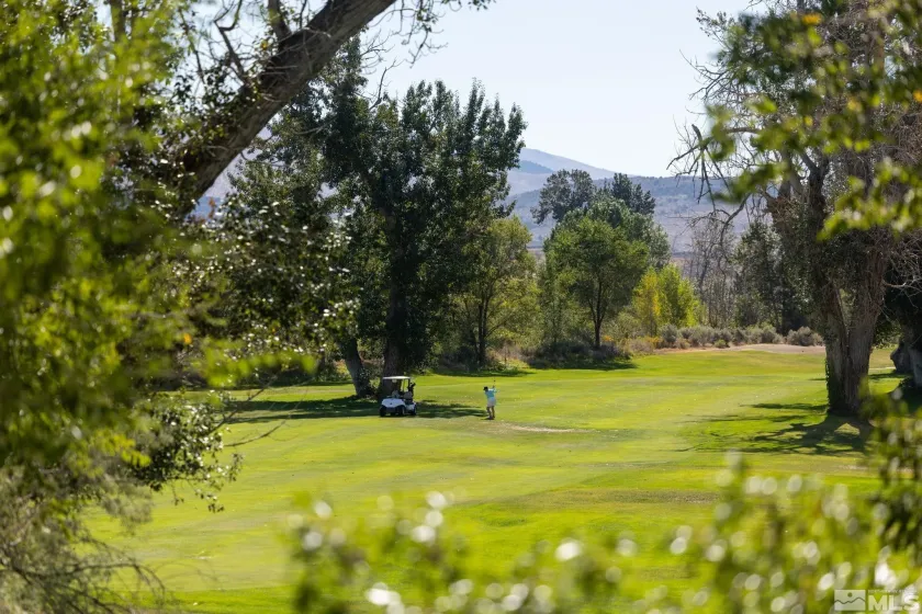 1580 Fifth Green, Gardnerville, Nevada 89460, 4 Bedrooms Bedrooms, ,4 BathroomsBathrooms,Residential,Residential,Fifth Green,250059143