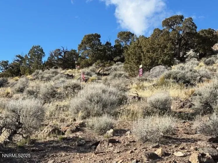 1505 Appian, Reno, Nevada 89510, ,Land,Residential,Appian,250059187
