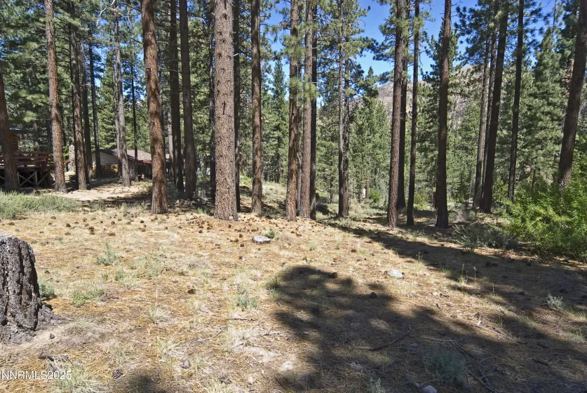 50 Pinon, Markleeville, California 96120, ,Land,Residential,Pinon,250003510