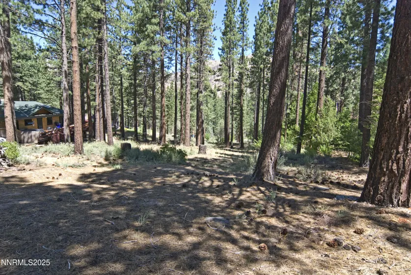 50 Pinon, Markleeville, California 96120, ,Land,Residential,Pinon,250003510