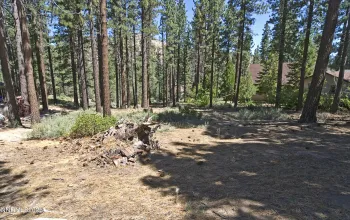 50 Pinon, Markleeville, California 96120, ,Land,Residential,Pinon,250003510