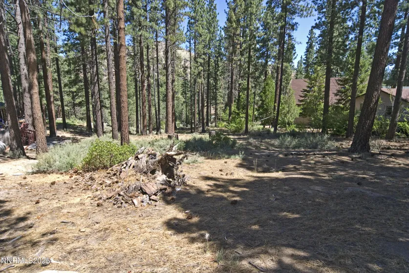 50 Pinon, Markleeville, California 96120, ,Land,Residential,Pinon,250003510