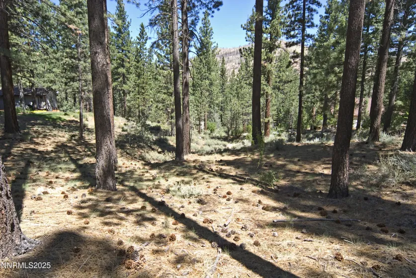 50 Pinon, Markleeville, California 96120, ,Land,Residential,Pinon,250003510