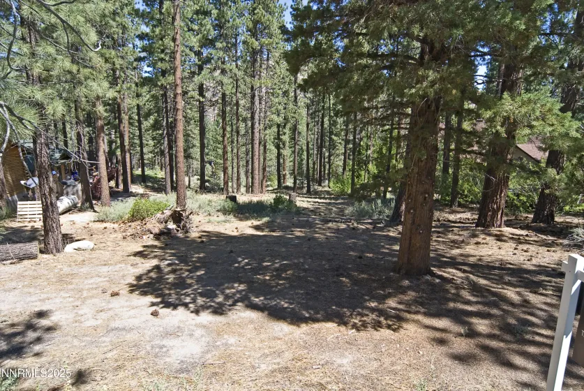 50 Pinon, Markleeville, California 96120, ,Land,Residential,Pinon,250003510