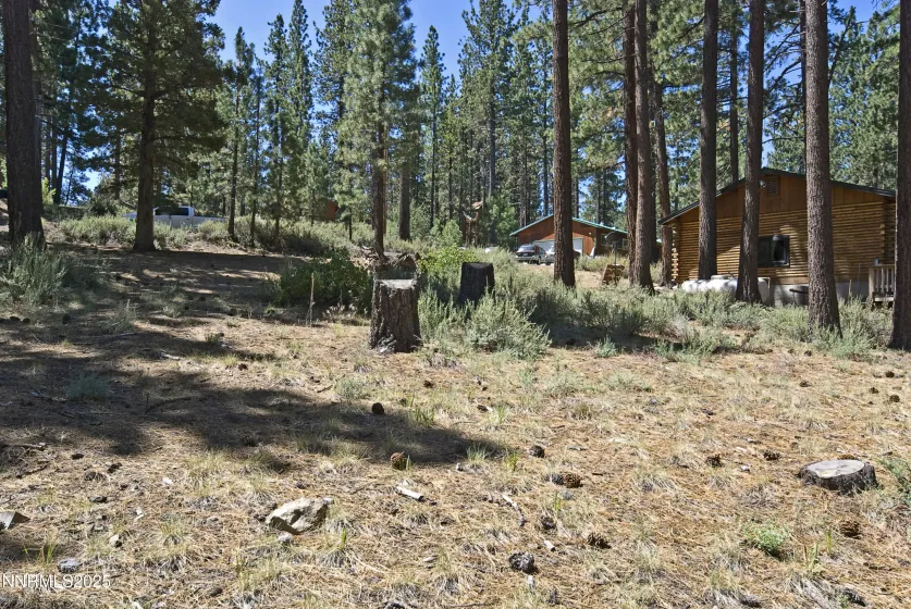 50 Pinon, Markleeville, California 96120, ,Land,Residential,Pinon,250003510