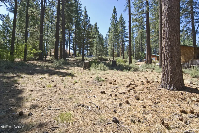 50 Pinon, Markleeville, California 96120, ,Land,Residential,Pinon,250003510