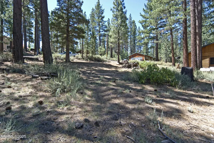 50 Pinon, Markleeville, California 96120, ,Land,Residential,Pinon,250003510