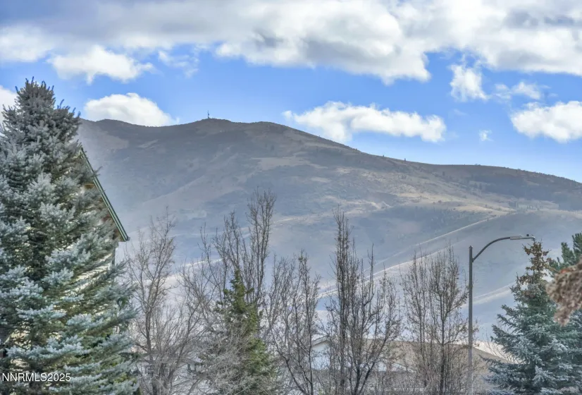 18120 Hazelnut, Reno, Nevada 89508, 3 Bedrooms Bedrooms, ,2 BathroomsBathrooms,Residential,Residential,Hazelnut,250059250