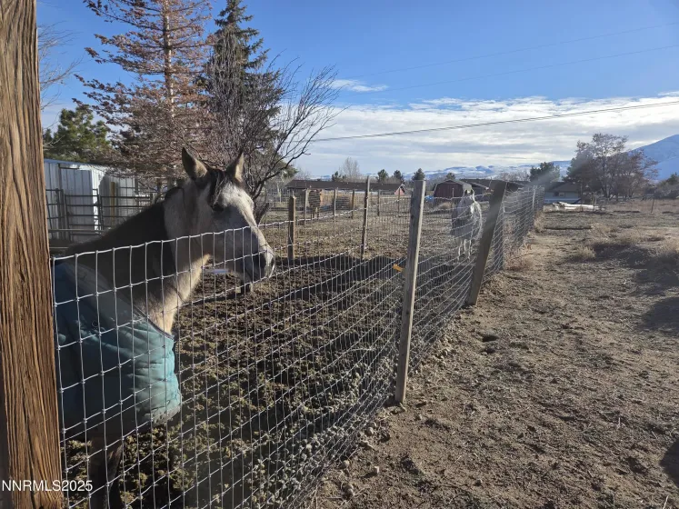 10200 Shiloh, Reno, Nevada 89508, 3 Bedrooms Bedrooms, ,2 BathroomsBathrooms,Residential,Residential,Shiloh,250059255