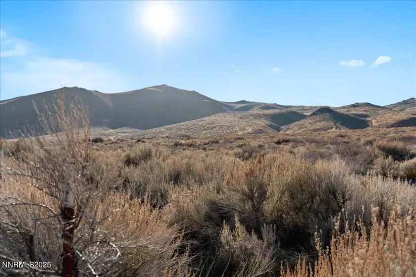 10705 Silver Spur, Reno, Nevada 89508, 4 Bedrooms Bedrooms, ,3 BathroomsBathrooms,Residential,Residential,Silver Spur,250050821