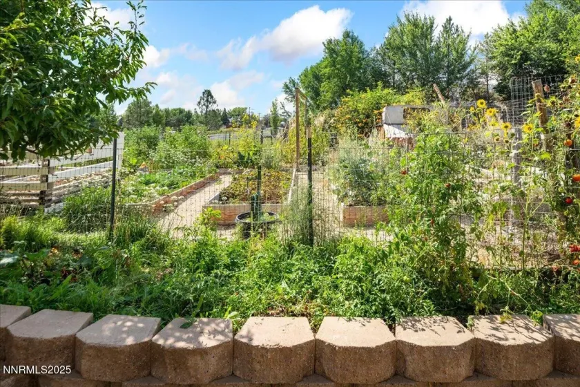 1516 Coleman, Reno, Nevada 89503, 6 Bedrooms Bedrooms, ,4 BathroomsBathrooms,Residential,Residential,Coleman,250059287