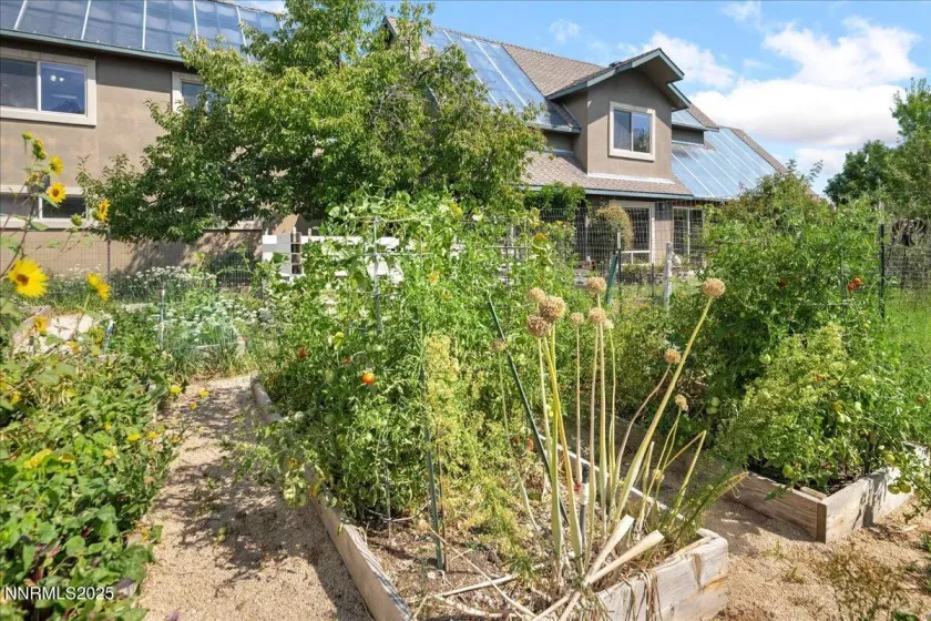 1516 Coleman, Reno, Nevada 89503, 6 Bedrooms Bedrooms, ,4 BathroomsBathrooms,Residential,Residential,Coleman,250059287