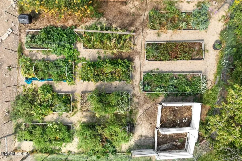 1516 Coleman, Reno, Nevada 89503, 6 Bedrooms Bedrooms, ,4 BathroomsBathrooms,Residential,Residential,Coleman,250059287