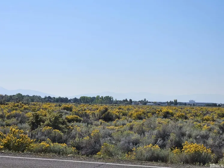 1205 Stephanie, Minden, Nevada 89423, ,Land,Residential,Stephanie,250058787