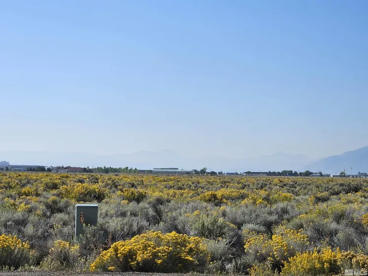 1205 Stephanie, Minden, Nevada 89423, ,Land,Residential,Stephanie,250058787