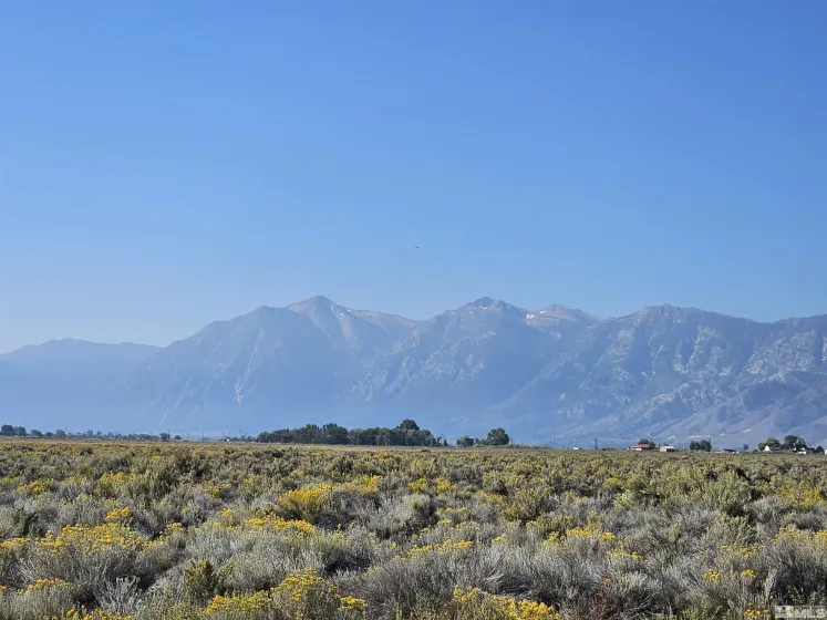 1205 Stephanie, Minden, Nevada 89423, ,Land,Residential,Stephanie,250058787