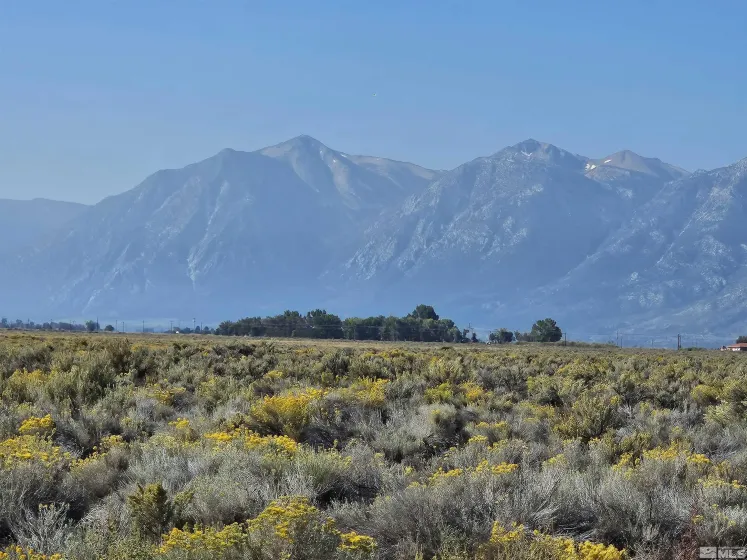 1205 Stephanie, Minden, Nevada 89423, ,Land,Residential,Stephanie,250058787