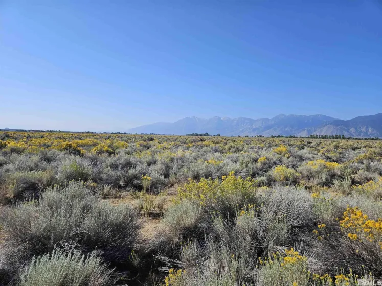1205 Stephanie, Minden, Nevada 89423, ,Land,Residential,Stephanie,250058787