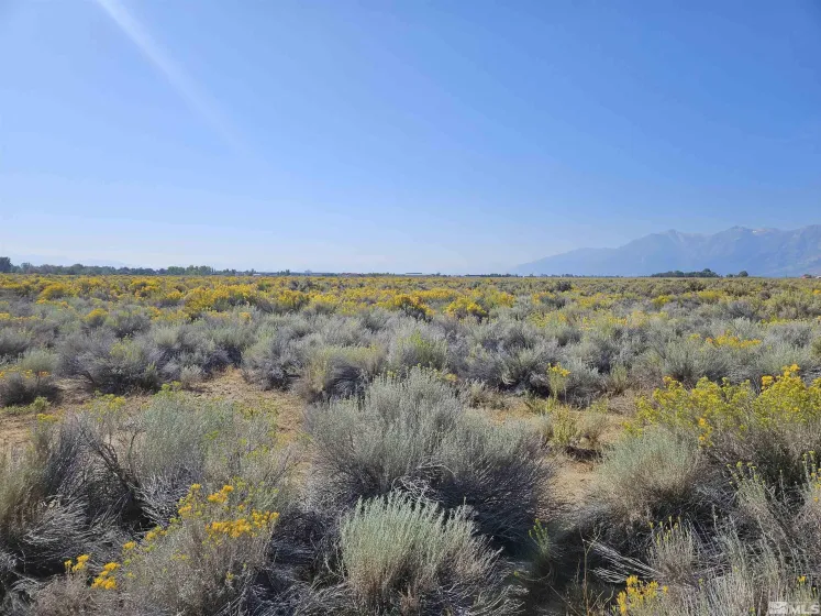 1205 Stephanie, Minden, Nevada 89423, ,Land,Residential,Stephanie,250058787