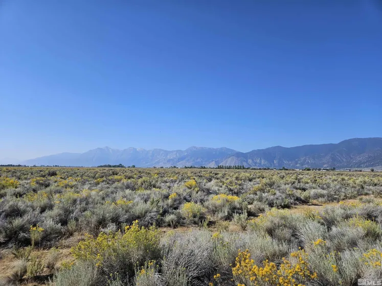 1205 Stephanie, Minden, Nevada 89423, ,Land,Residential,Stephanie,250058787