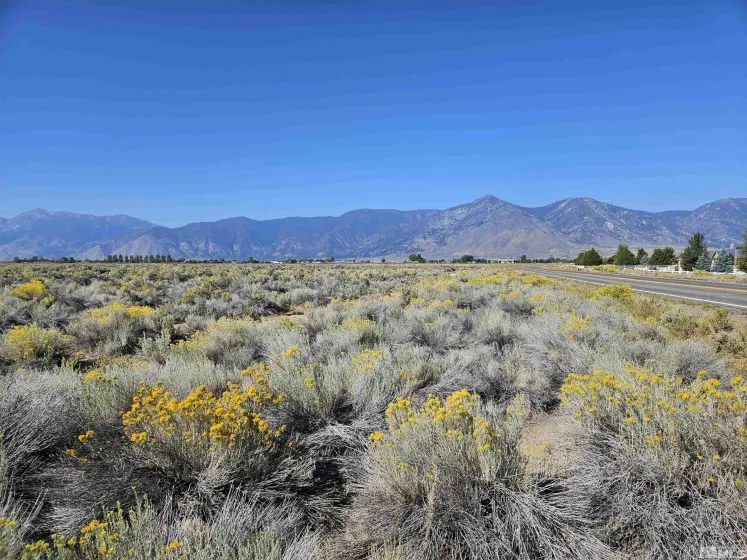 1205 Stephanie, Minden, Nevada 89423, ,Land,Residential,Stephanie,250058787