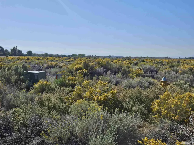 1205 Stephanie, Minden, Nevada 89423, ,Land,Residential,Stephanie,250058787