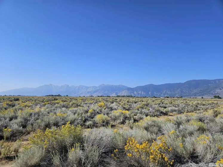1205 Stephanie, Minden, Nevada 89423, ,Land,Residential,Stephanie,250058787