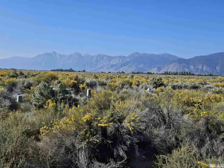 1205 Stephanie, Minden, Nevada 89423, ,Land,Residential,Stephanie,250058787